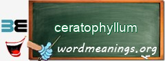 WordMeaning blackboard for ceratophyllum